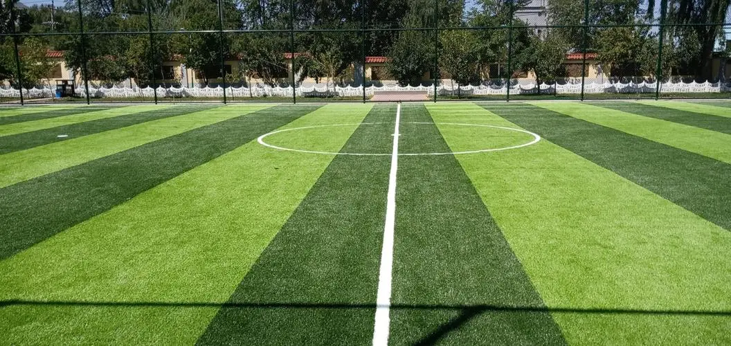 足球場草坪